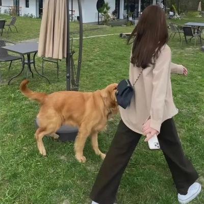 西班牙公寓2：俄罗斯娃娃